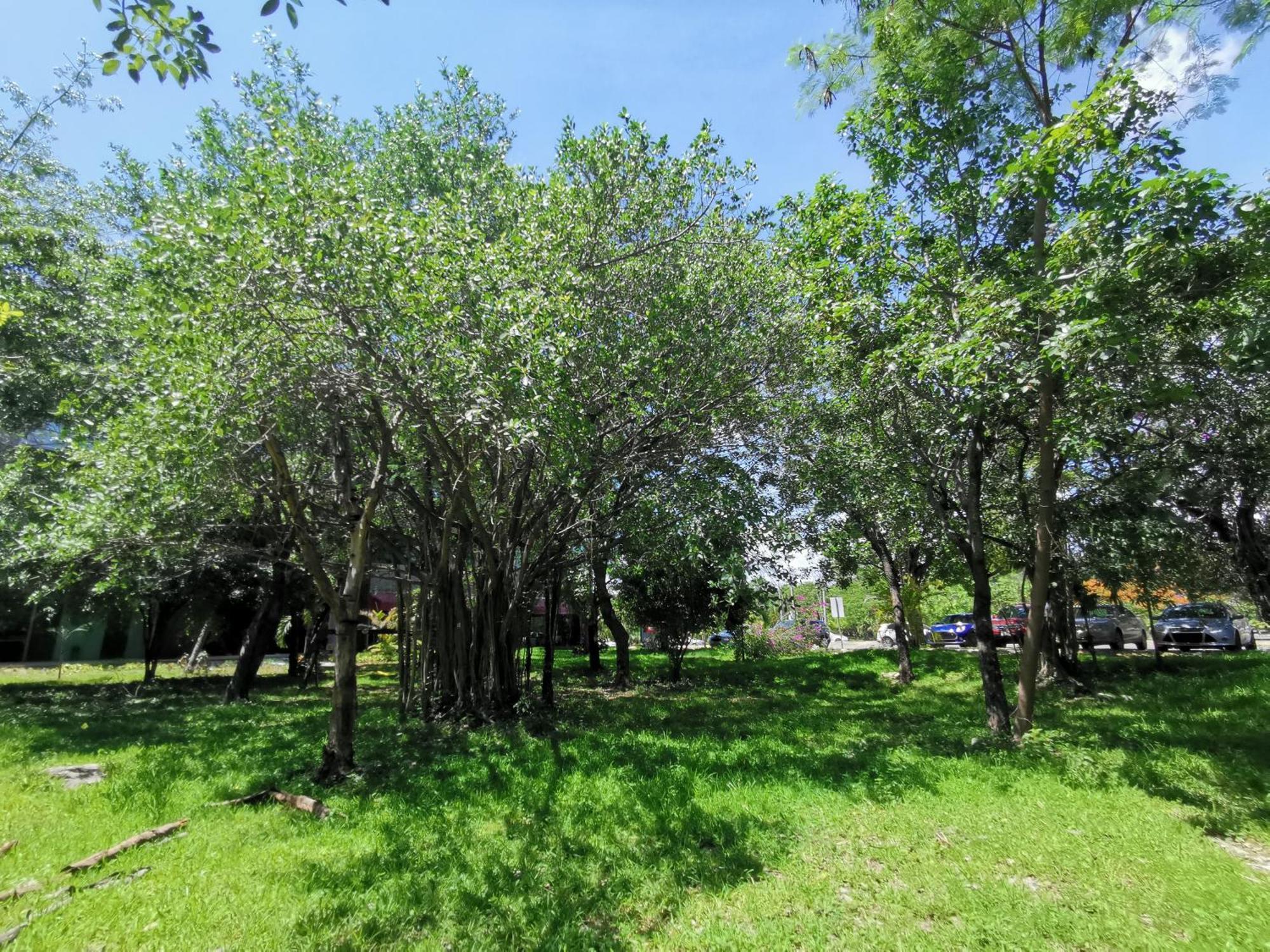 Beautiful & Cozy Near Beach Apartment Pool & Kingsize Bed Cancún Rom bilde
